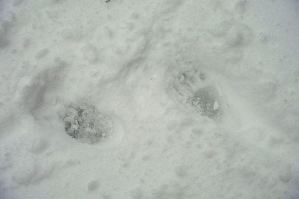 c0294658_22115920.jpg