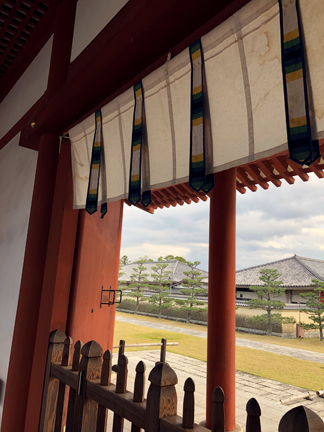 breeze from ancient memories... 薬師寺を訪ねて　_c0038561_16540751.jpg