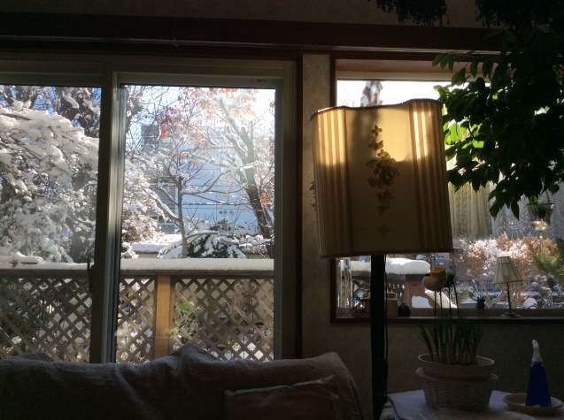 d0150967_19413301.jpeg