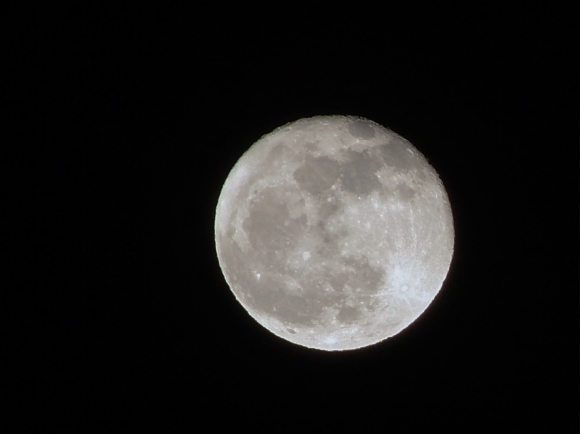 f0376072_20130759.jpg