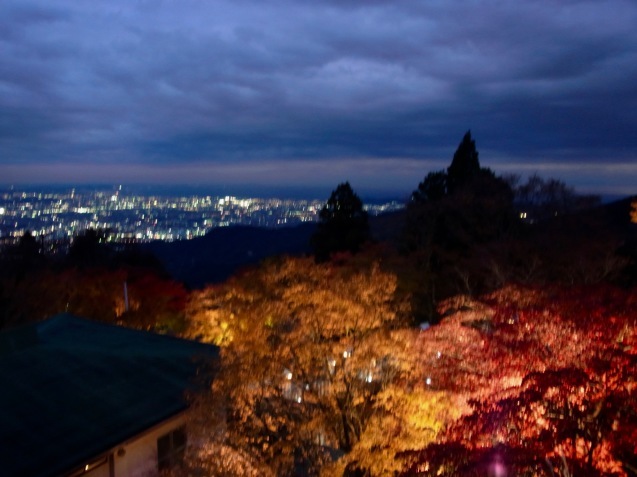 紅葉を狩りに大山へ_f0068878_10283628.jpg