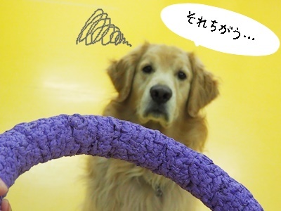 寒いですね~⛄_f0357682_14592050.jpg