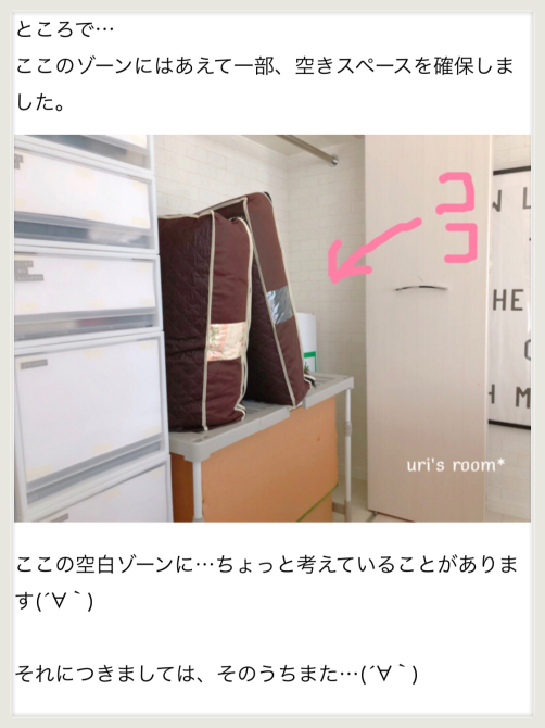 ダイソンの掃除機、デビューしました。その素晴らしさと収納について。_a0341288_01082054.jpg