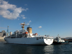 b0192588_821178.jpg