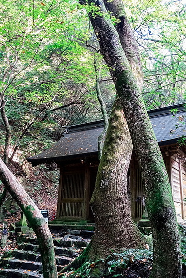 e0176993_09322016.jpg