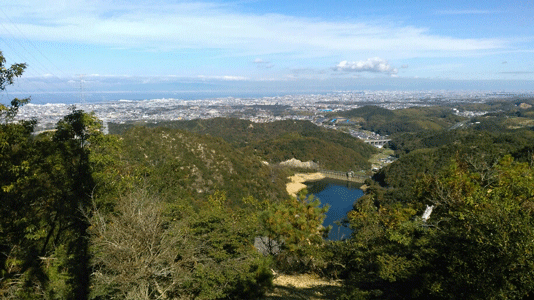 a0030594_20561917.gif