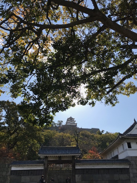 丸亀市_f0204295_09174838.jpg