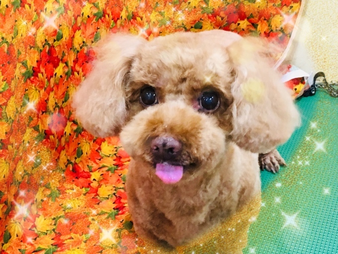 d0269898_10280668.jpeg