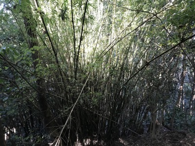 f0308898_16131200.jpg