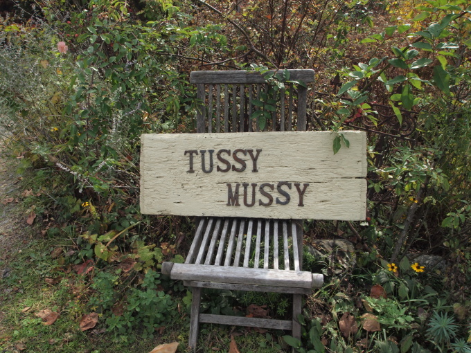 「tussy.mussy」に行きました♪_b0331802_23021735.jpg