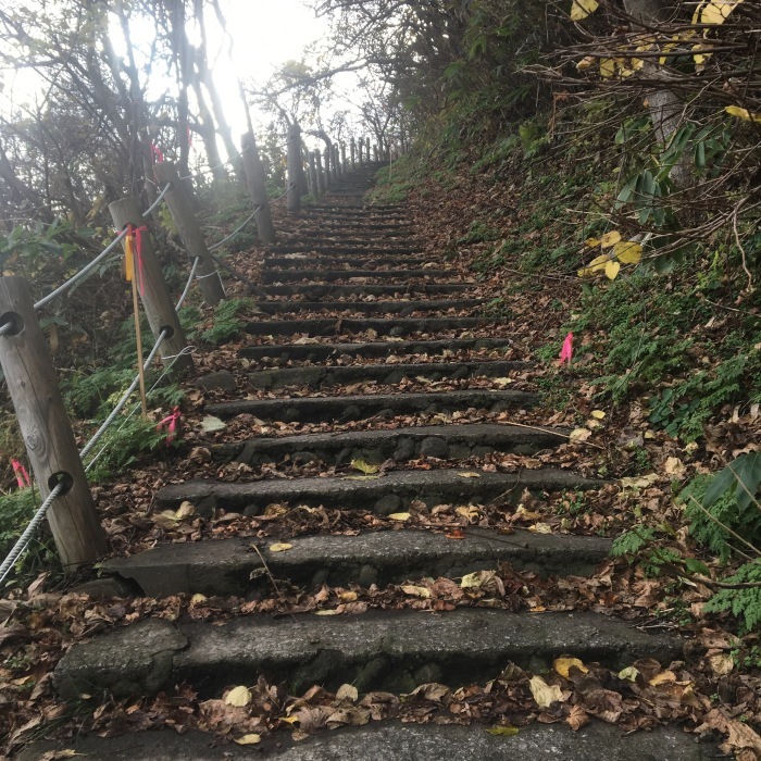 20181110  北海道のラストランは積丹へ行こう！_c0226202_18062611.jpeg