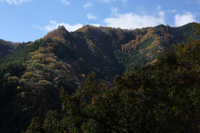 稜線の秋 _a0357206_20275930.jpg