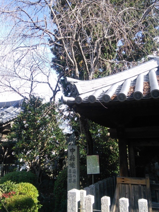 おはなしをたのしむ会 in 石光寺_c0149408_09193684.jpg