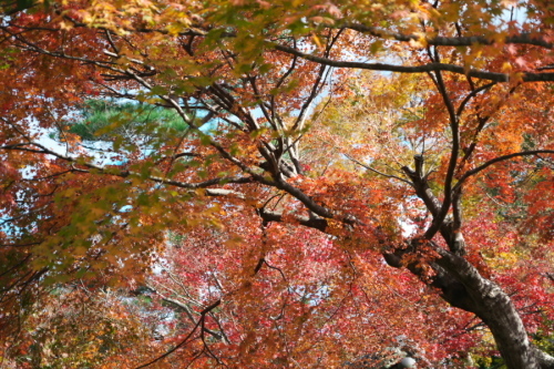 a0263109_17503491.jpg