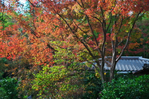 a0263109_17514360.jpg