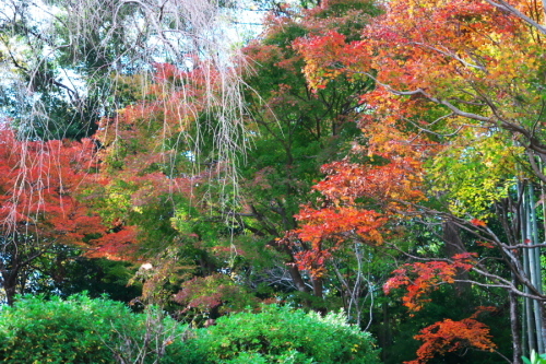 a0263109_17531781.jpg