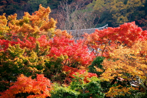 a0263109_17534939.jpg