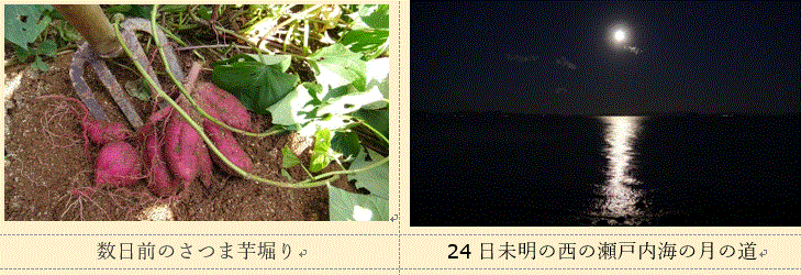 f0231709_04082412.gif