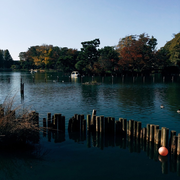 洗足池_d0138811_17212068.jpeg