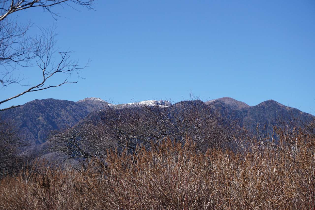 d0333714_19401711.jpg