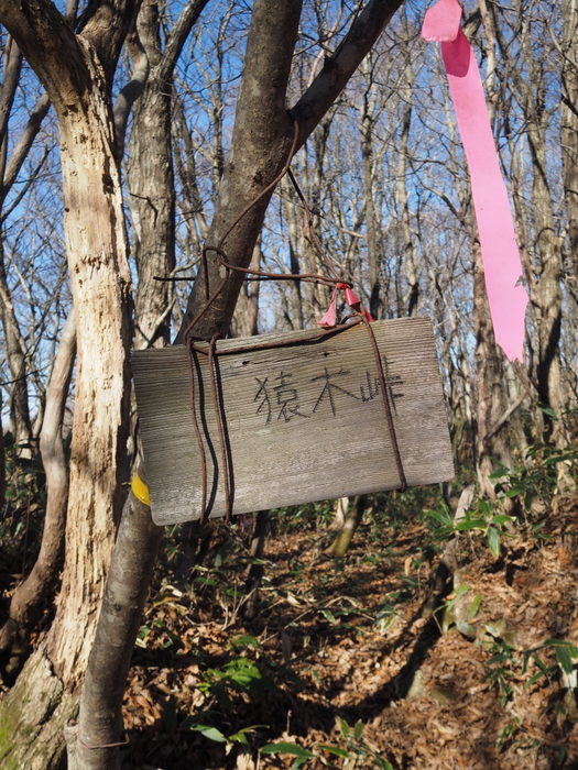 臥龍山～掛頭山縦走_c0116915_00280234.jpg