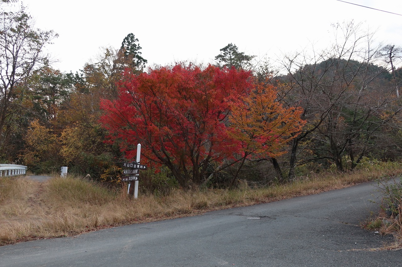 神璽の滝～北比良峠～琵琶湖バレイ_e0171018_20591955.jpg