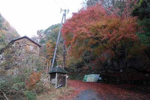 神璽の滝～北比良峠～琵琶湖バレイ_e0171018_21003320.jpg