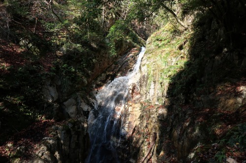 e0171018_21024108.jpg