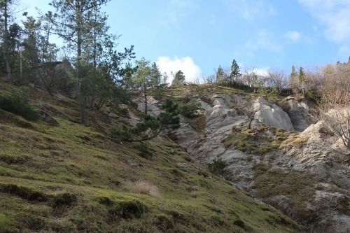 e0171018_21031190.jpg