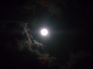 a0242019_04334550.jpg