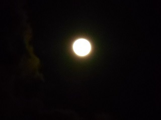 a0242019_04334888.jpg