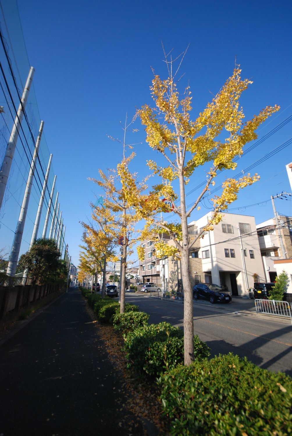 b0069128_17023363.jpg