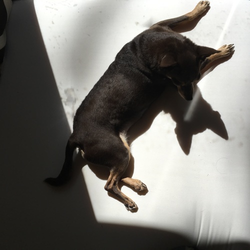 a0291132_12243124.jpeg
