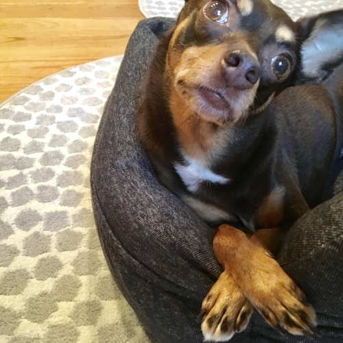 a0291132_12251553.jpeg