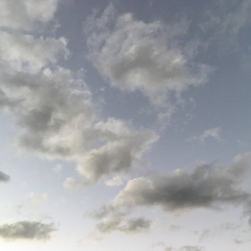 a0291132_12263546.jpeg
