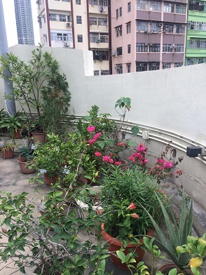 f0371533_00561124.jpg