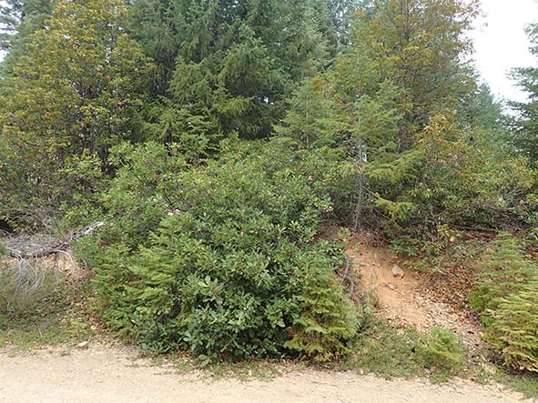 c0177135_22384243.jpg