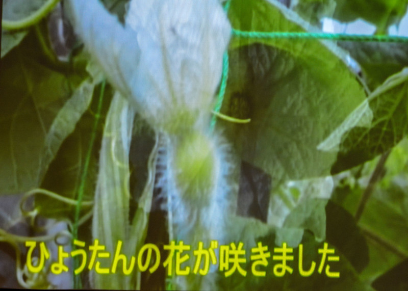 d0246136_22265685.jpg
