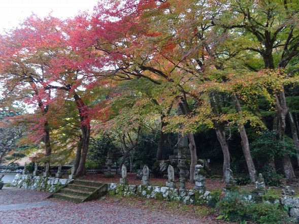 円通寺の紅葉_b0299042_22544211.jpg