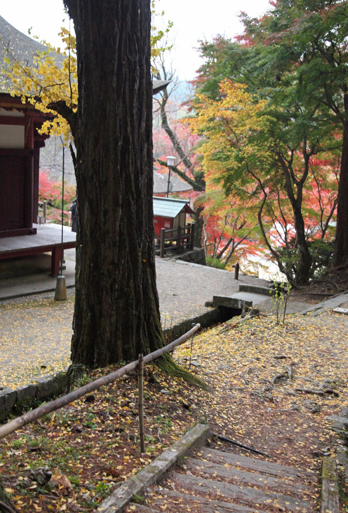 桜井市　談山神社　紅葉_c0108146_22104879.jpg