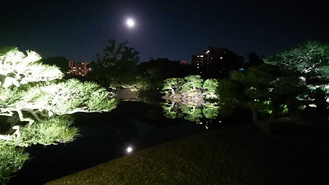 栗林公園のライトアップ_e0345848_23371074.jpg