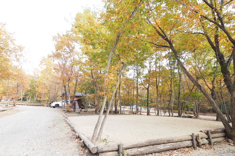 【キャンプレポート】メープル那須高原キャンプグランド ～紅葉の再訪編 ①_b0008655_17290550.jpg