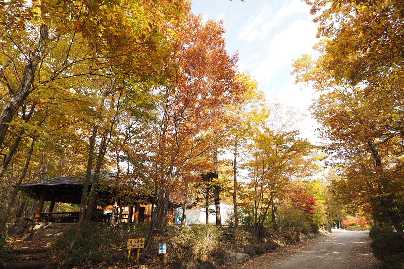 【キャンプレポート】メープル那須高原キャンプグランド ～紅葉の再訪編 ①_b0008655_17333975.jpg