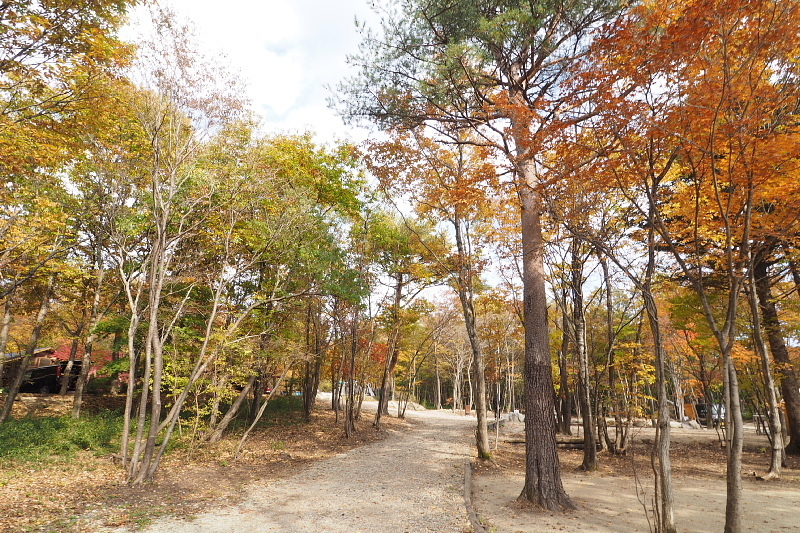 【キャンプレポート】メープル那須高原キャンプグランド ～紅葉の再訪編 ①_b0008655_17475403.jpg