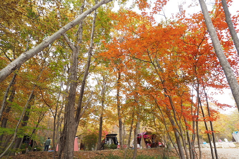 【キャンプレポート】メープル那須高原キャンプグランド ～紅葉の再訪編 ①_b0008655_17484840.jpg