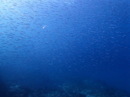 e0132965_22384976.jpg