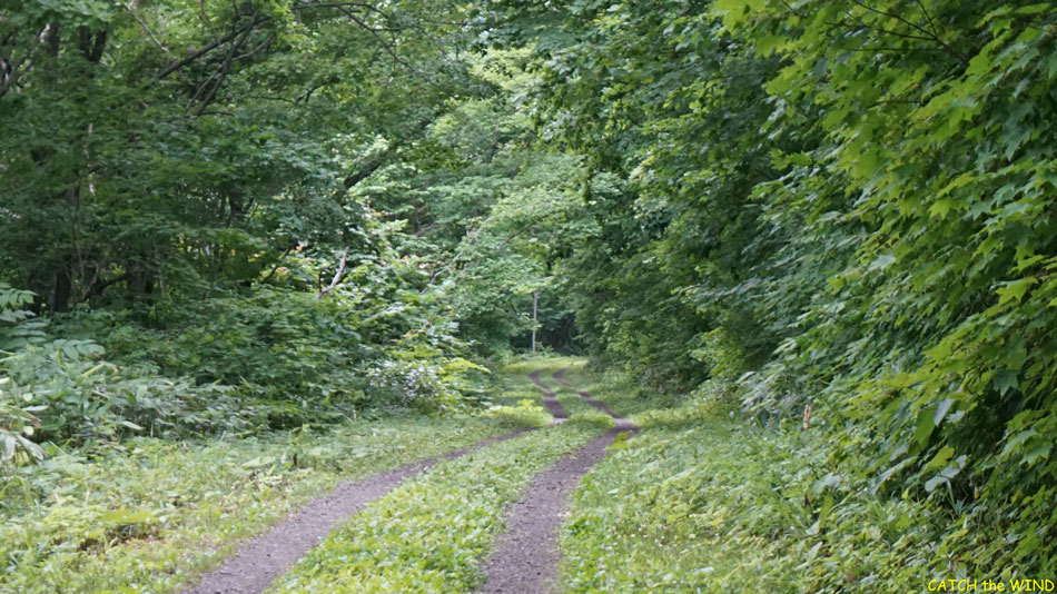 c0190971_19011833.jpg