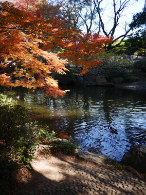 紅葉_a0027275_11180113.jpg