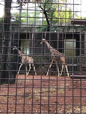b0197576_21130287.jpeg