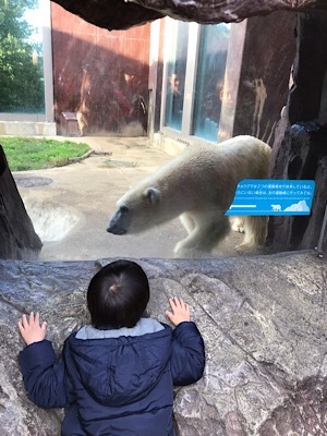 b0197576_21144254.jpeg